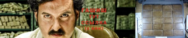 первитин Заводоуковск