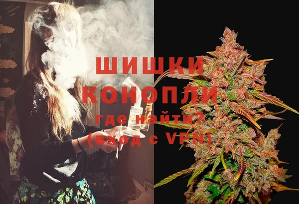 первитин Заводоуковск