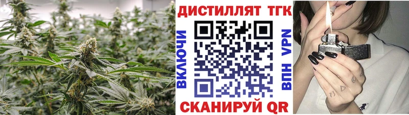 Купить закладки  Курчалой  Дистиллят ТГК концентрат 